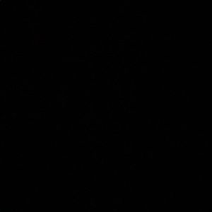 Meet your Posher, Natasha